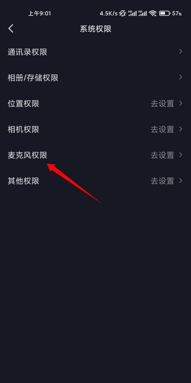 抖音拍視頻怎么打開麥克風(fēng)？