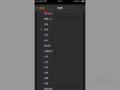 蘋果怎么設(shè)置抖音鬧鐘鈴聲？