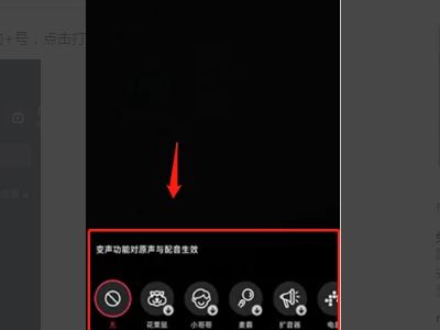 抖音特效的語(yǔ)音怎么弄？